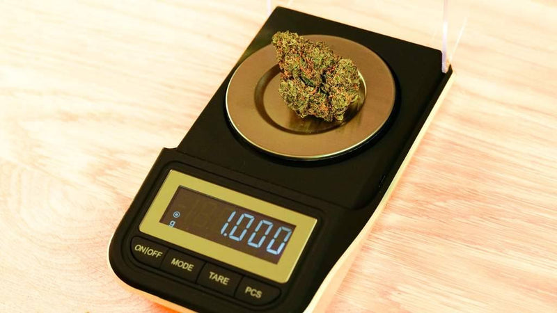Measuring Up: A Guide to the Cost of Weed Scales - Budder Bongs / Budder Vapes