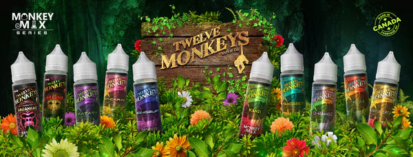 12 Monkeys 6mg Juice